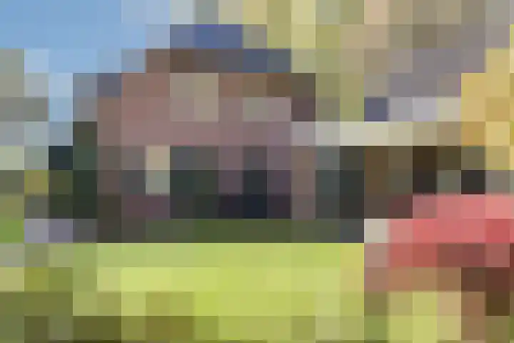 Batsdijk 22 Ruurlo thumbnail 40