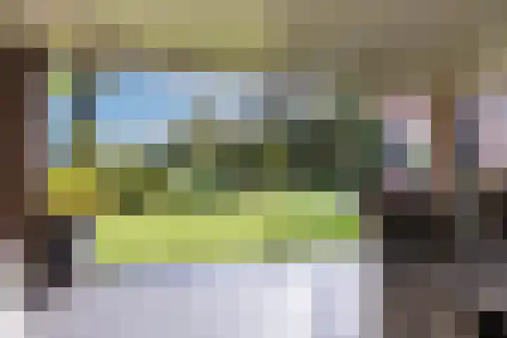 Batsdijk 22 Ruurlo thumbnail 43