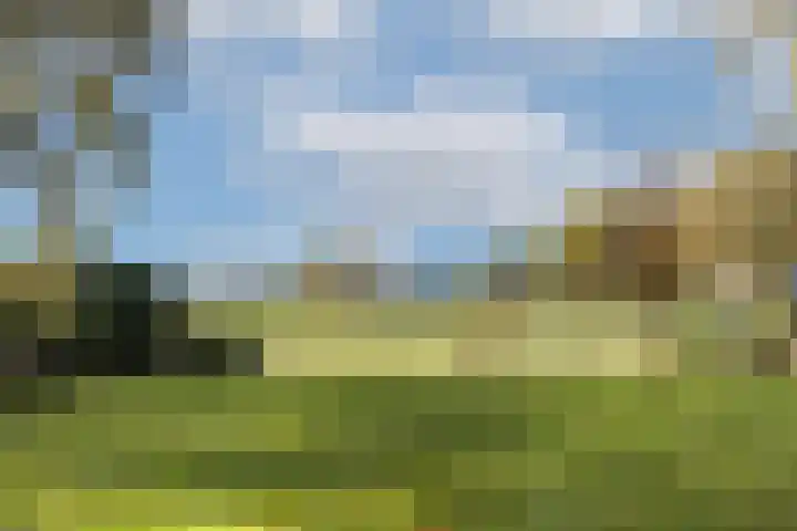 Batsdijk 22 Ruurlo thumbnail 46