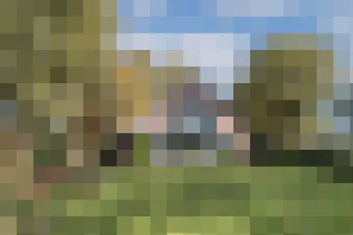 Batsdijk 22 Ruurlo thumbnail 5