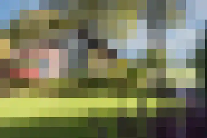 Batsdijk 22 Ruurlo thumbnail 53