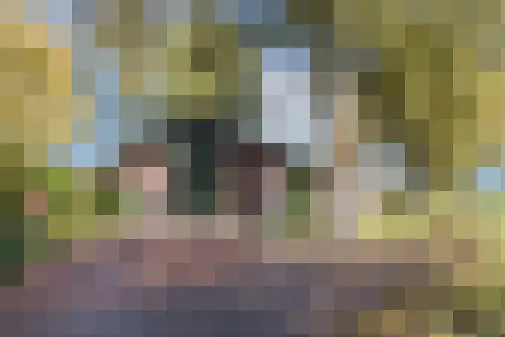 Batsdijk 22 Ruurlo thumbnail 54