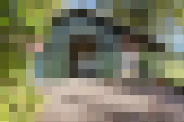 Batsdijk 22 Ruurlo thumbnail 55