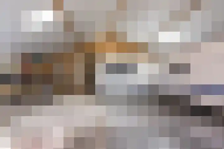 Batsdijk 22 Ruurlo thumbnail 56