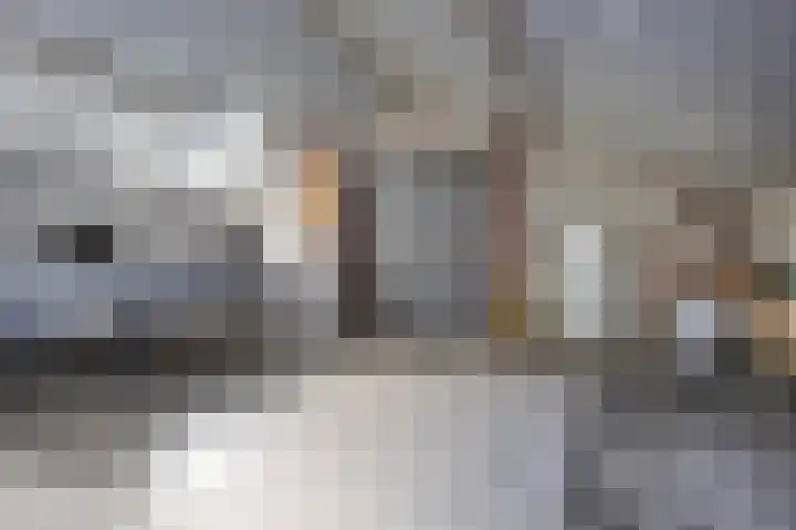 Batsdijk 22 Ruurlo thumbnail 57