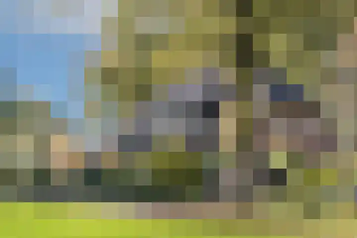 Batsdijk 22 Ruurlo thumbnail 59