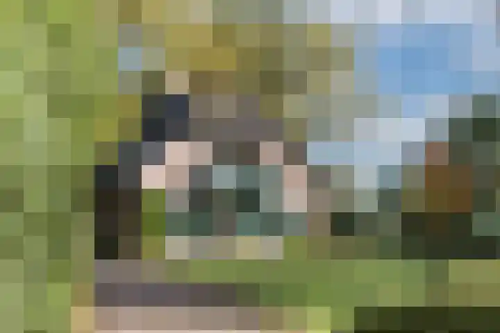Batsdijk 22 Ruurlo thumbnail 6