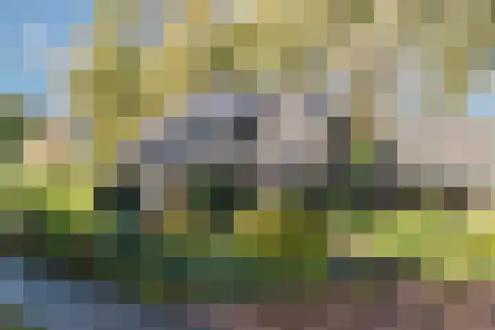 Batsdijk 22 Ruurlo thumbnail 60