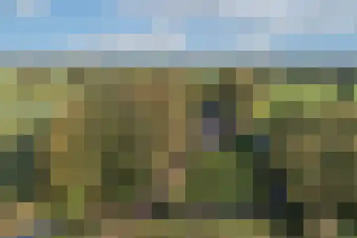 Batsdijk 22 Ruurlo thumbnail 61