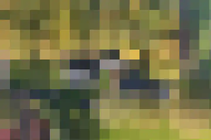 Batsdijk 22 Ruurlo thumbnail 62
