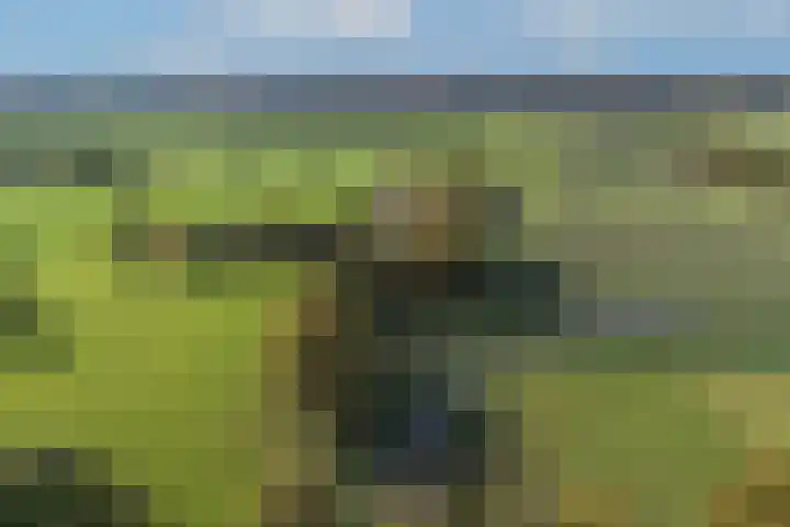 Batsdijk 22 Ruurlo thumbnail 64