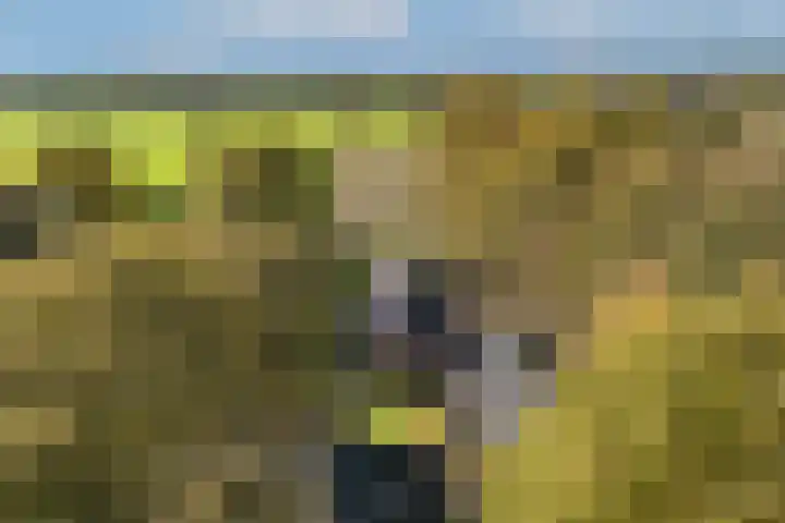 Batsdijk 22 Ruurlo thumbnail 65
