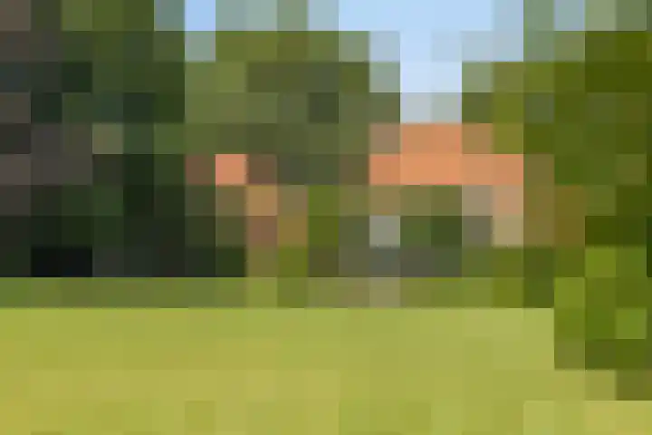 Batsdijk 24 in Ruurlo