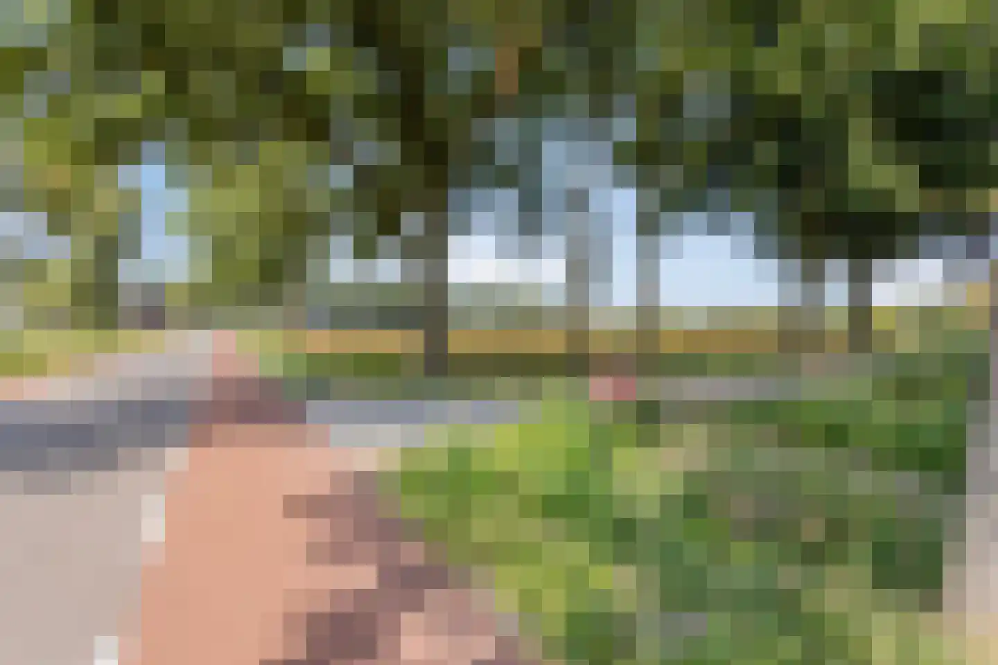 Batsdijk 24 Ruurlo thumbnail 100