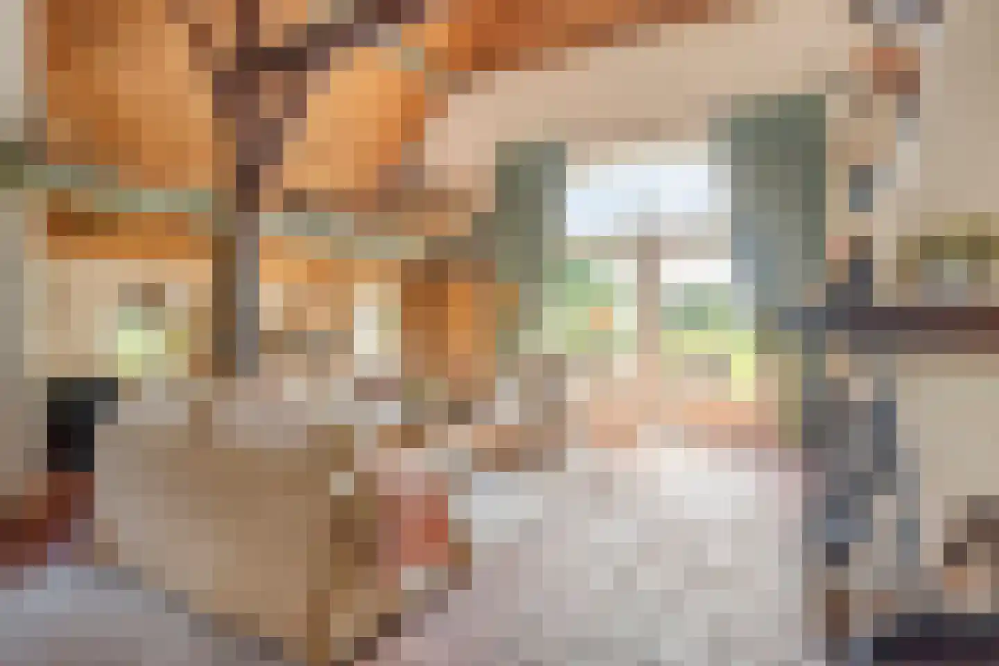 Batsdijk 24 Ruurlo thumbnail 14