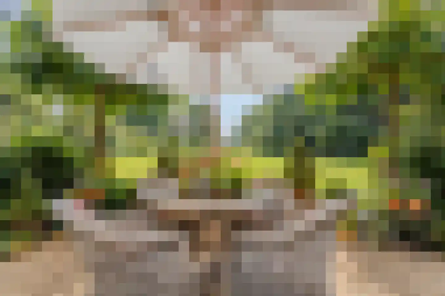 Batsdijk 24 Ruurlo thumbnail 21