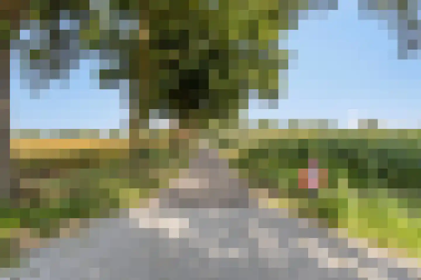 Batsdijk 24 Ruurlo thumbnail 4