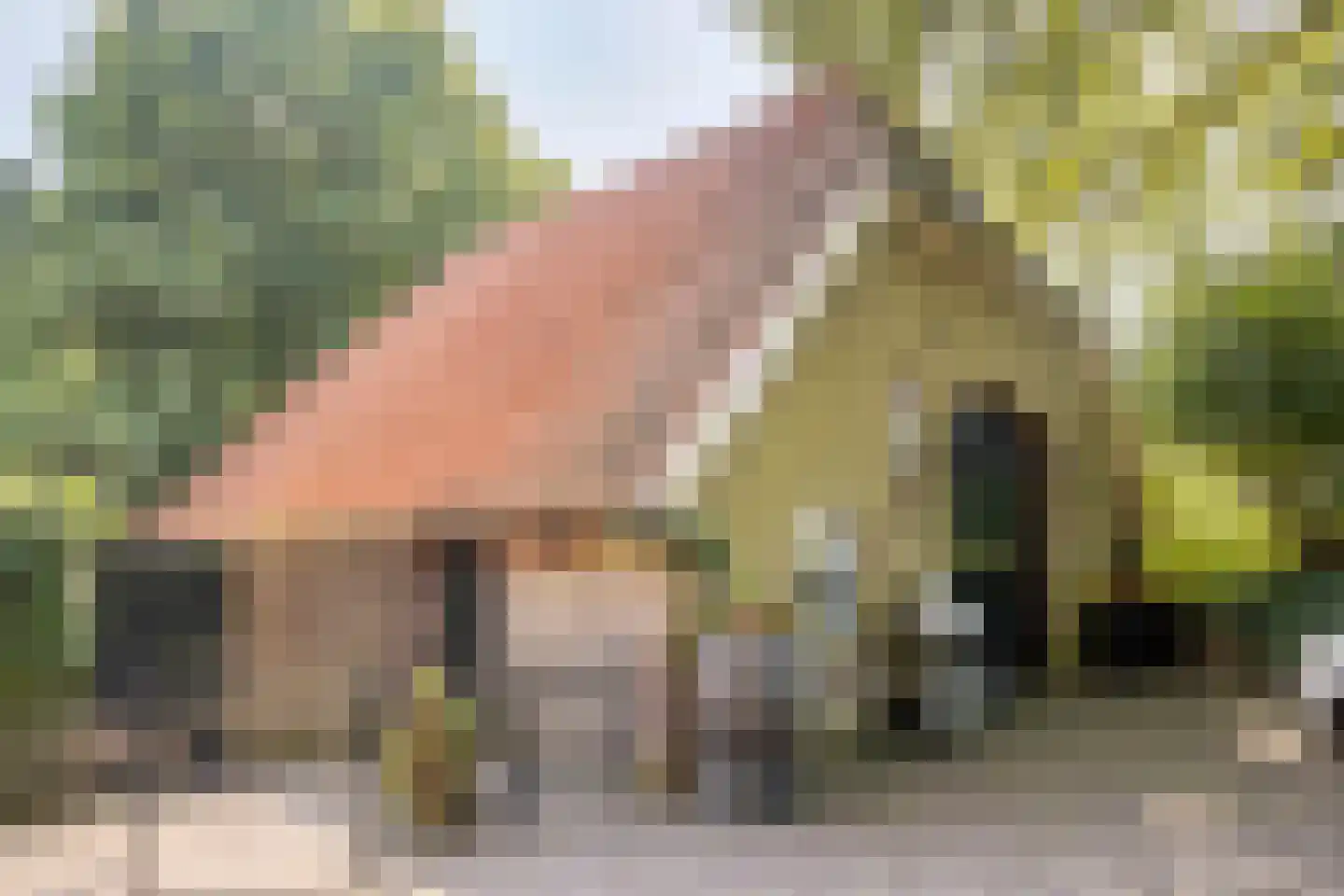 Batsdijk 24 Ruurlo thumbnail 53