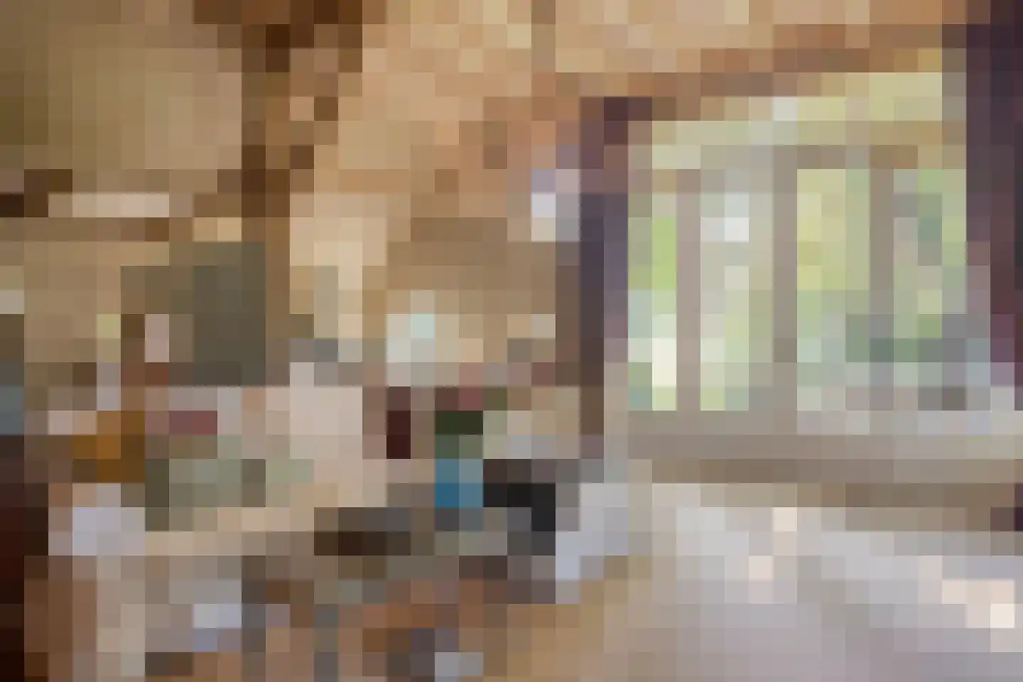 Batsdijk 24 Ruurlo thumbnail 57