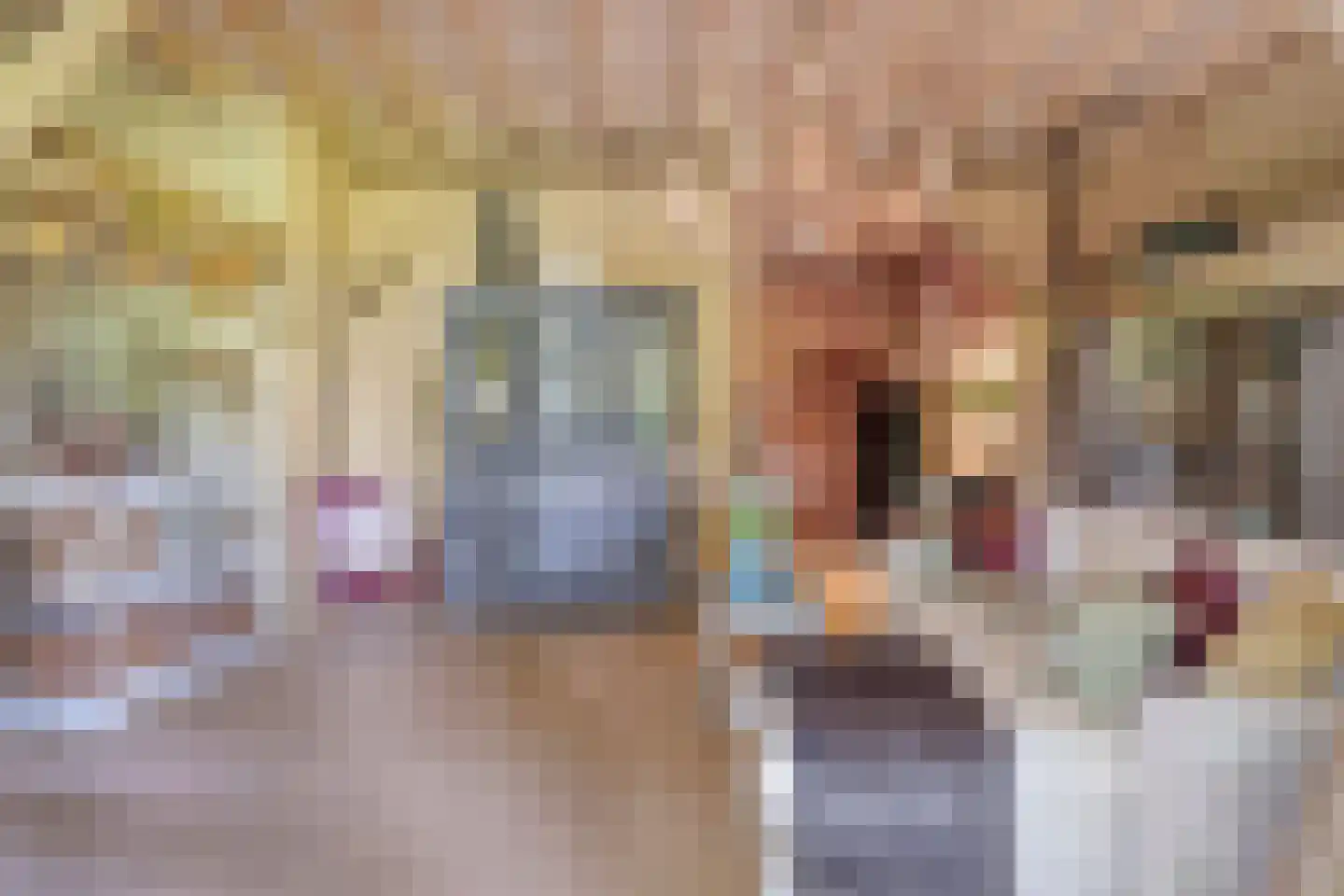 Batsdijk 24 Ruurlo thumbnail 62