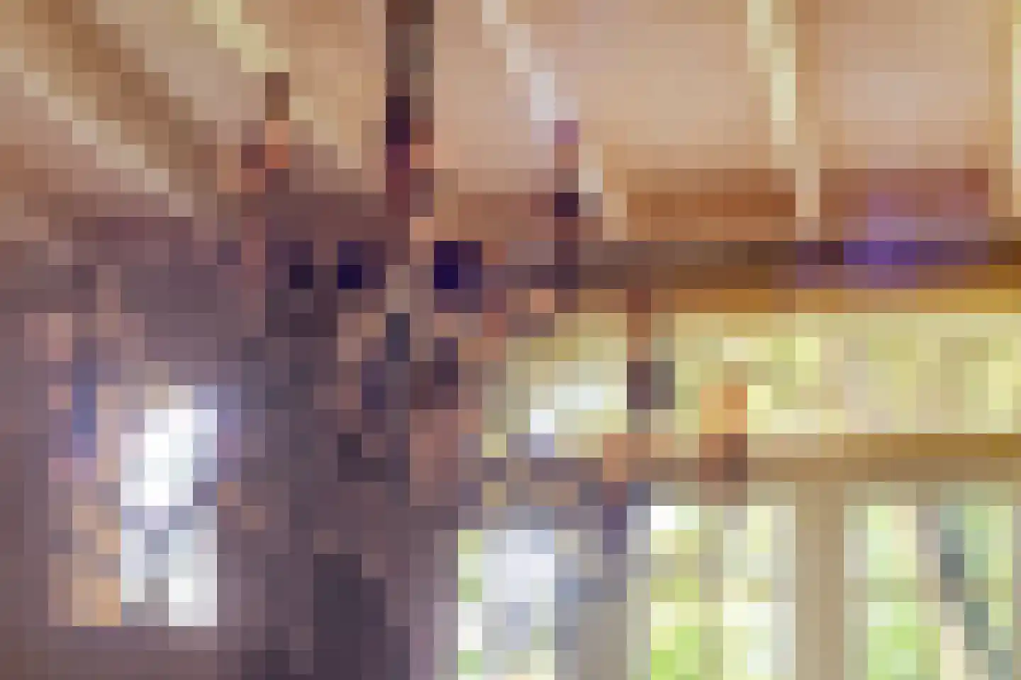 Batsdijk 24 Ruurlo thumbnail 63