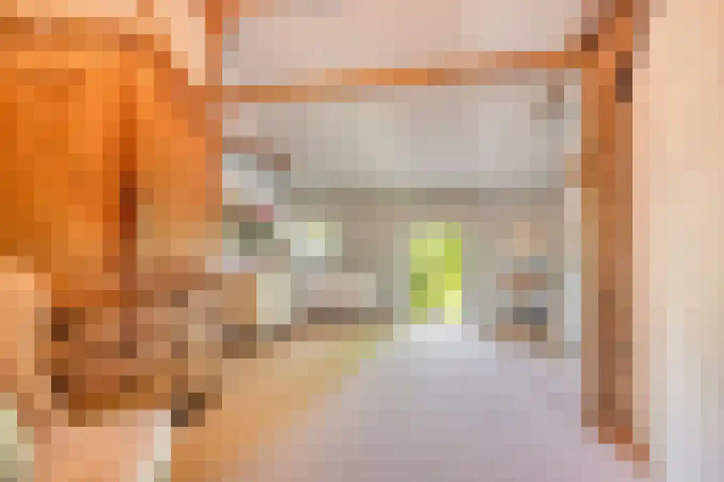 Batsdijk 24 Ruurlo thumbnail 73