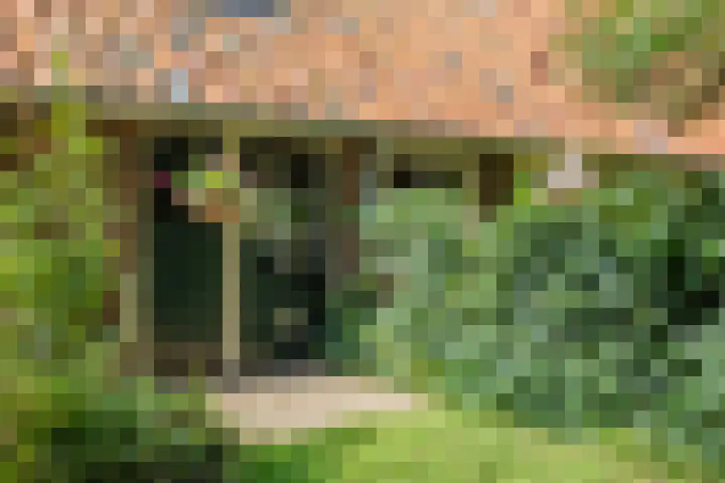 Batsdijk 24 Ruurlo thumbnail 76