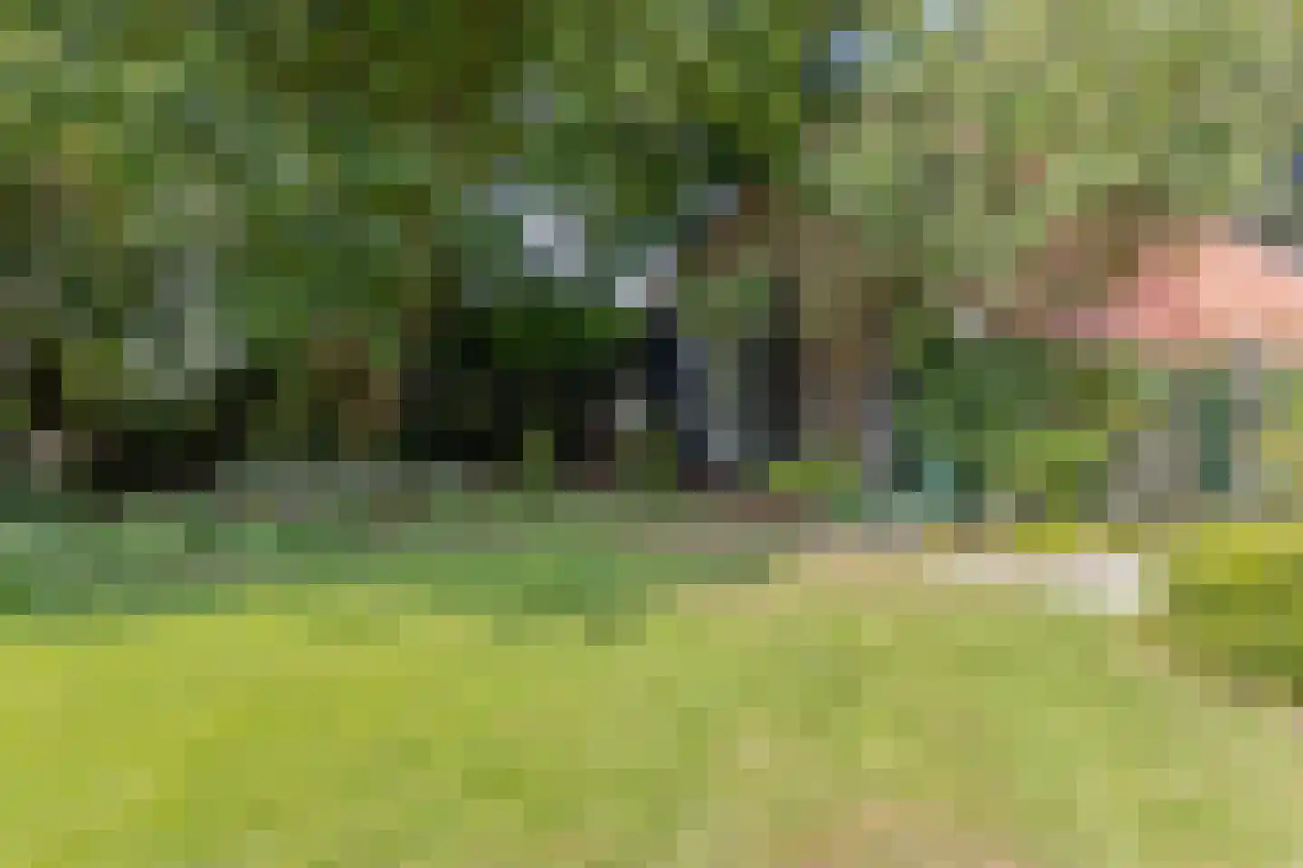 Batsdijk 24 Ruurlo thumbnail 77