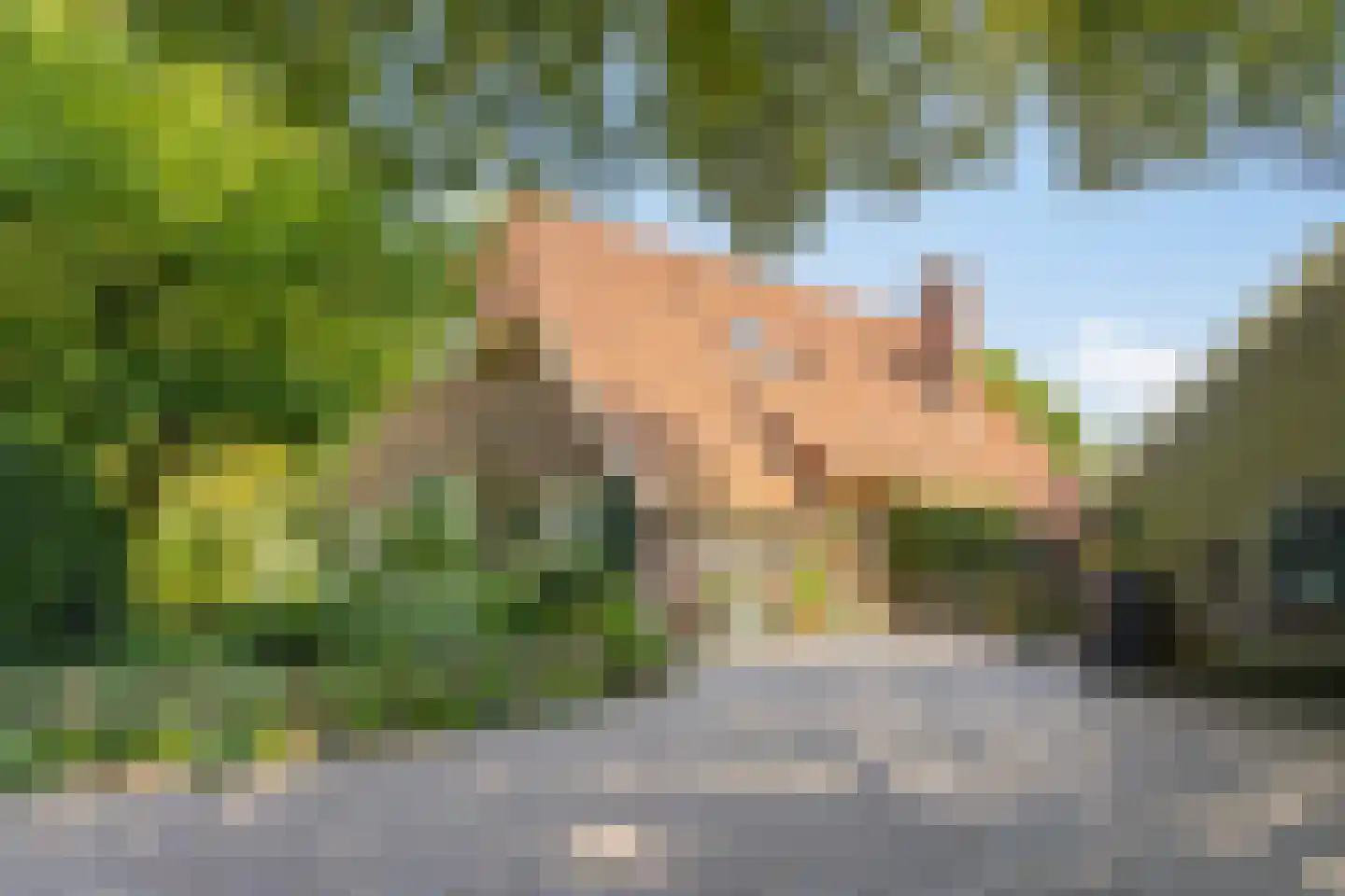 Batsdijk 24 Ruurlo thumbnail 8