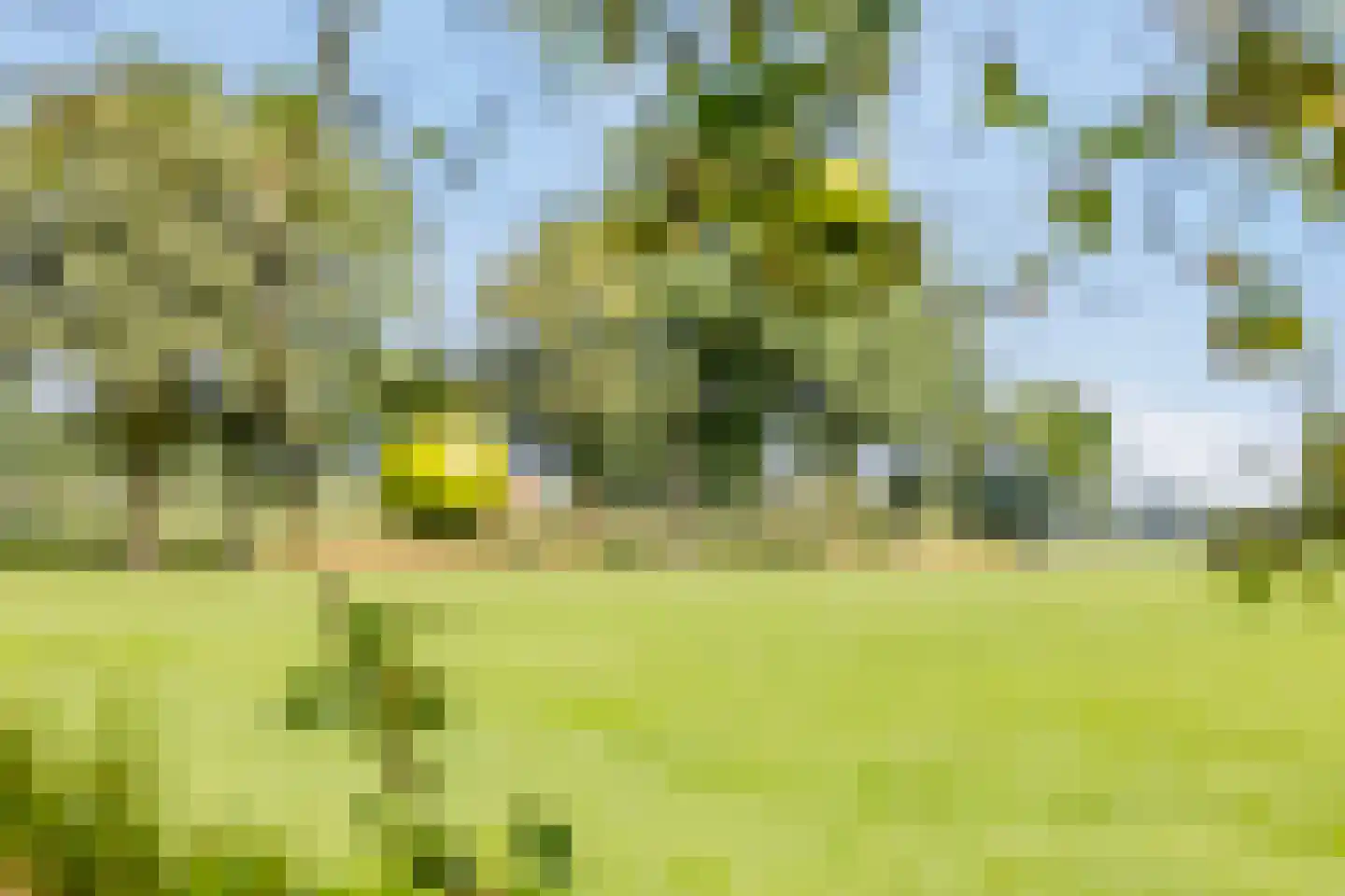 Batsdijk 24 Ruurlo thumbnail 82