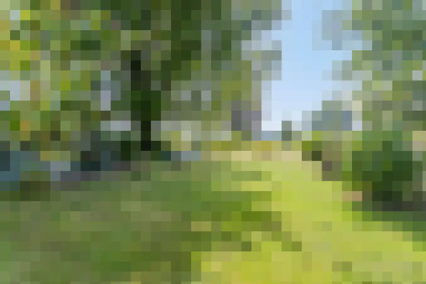 Batsdijk 24 Ruurlo thumbnail 83