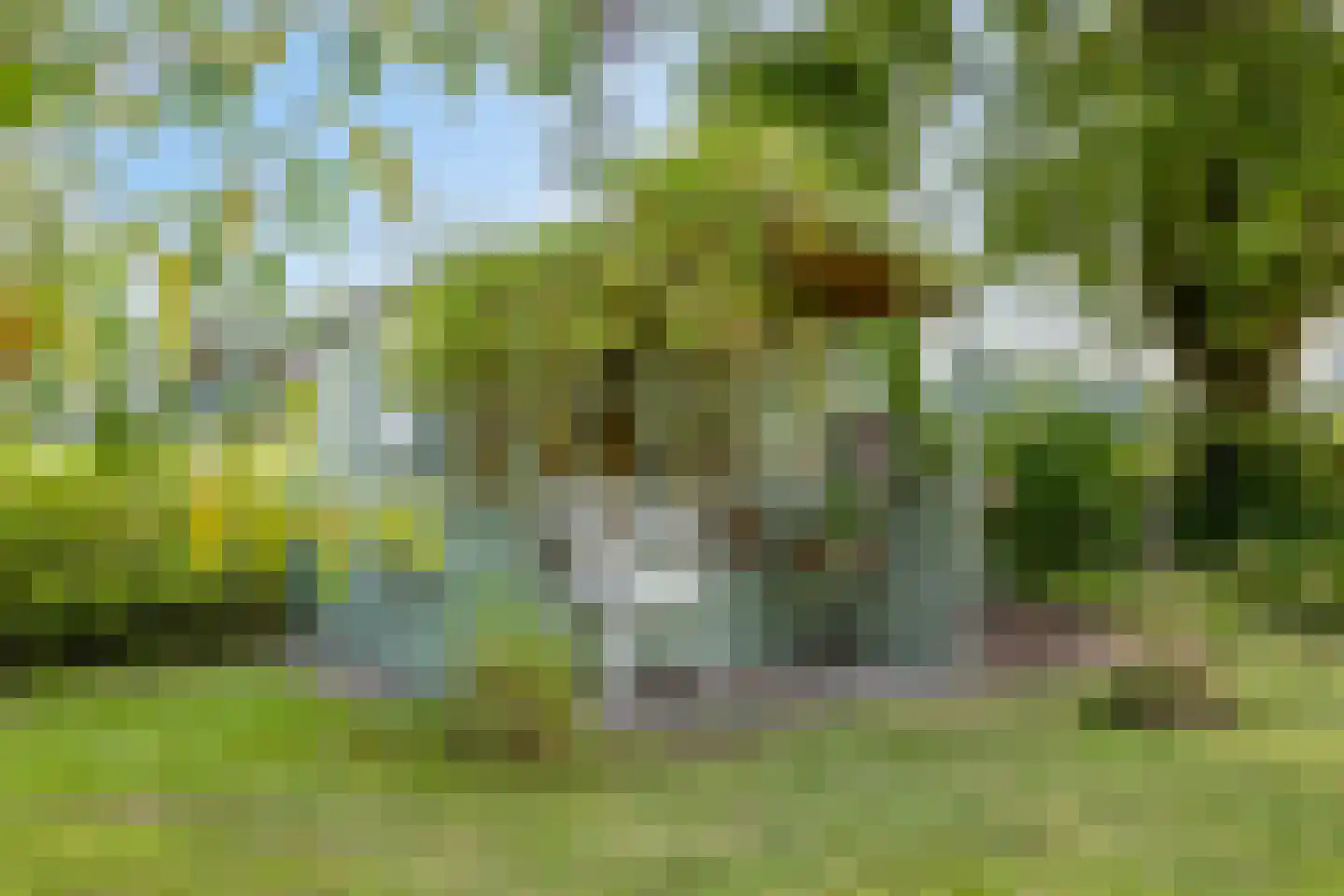 Batsdijk 24 Ruurlo thumbnail 84