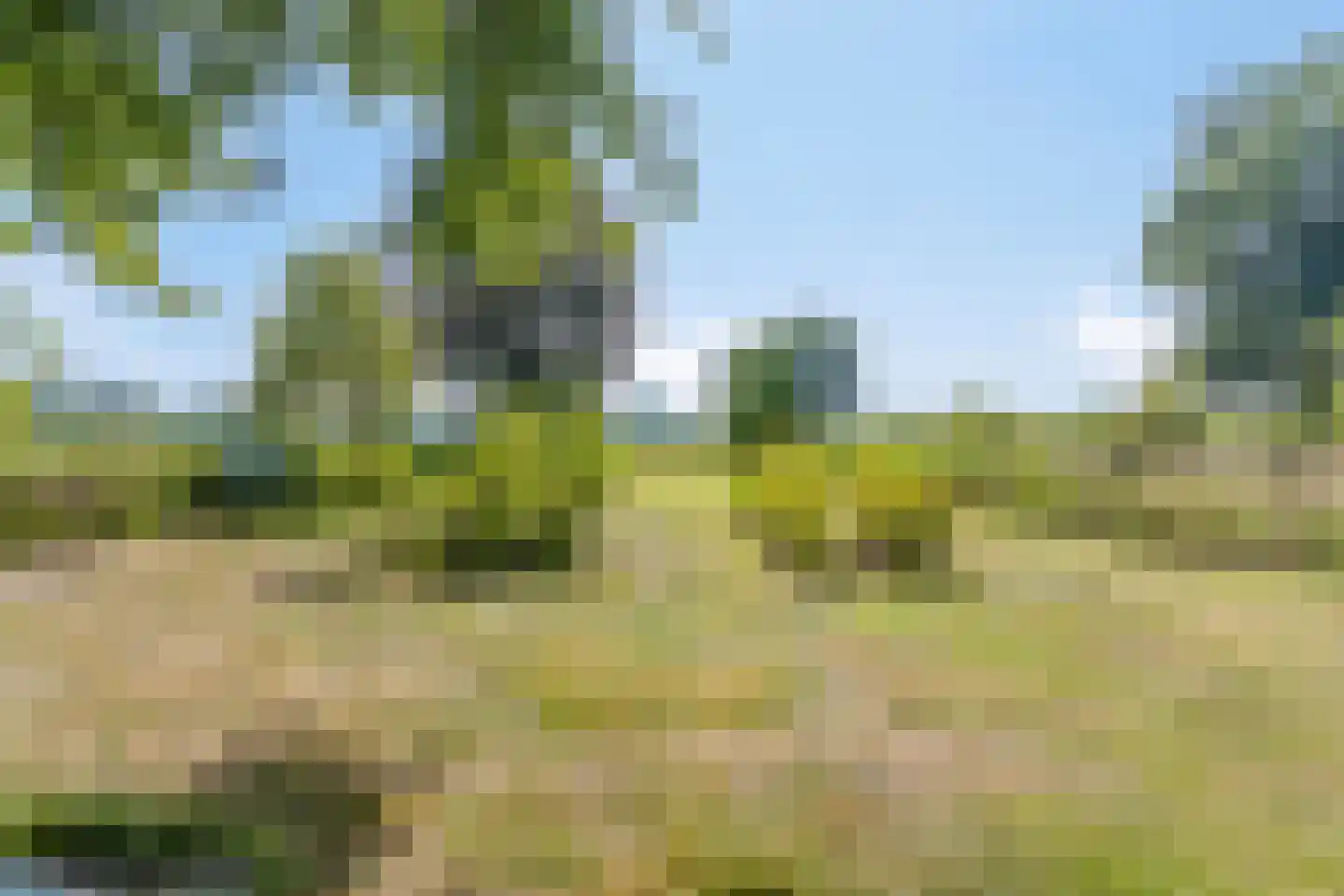 Batsdijk 24 Ruurlo thumbnail 87
