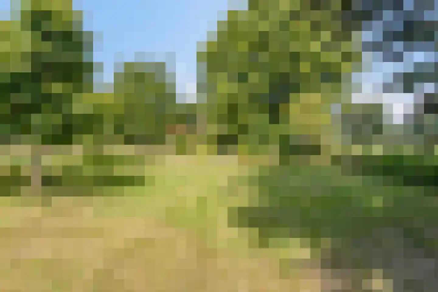 Batsdijk 24 Ruurlo thumbnail 88
