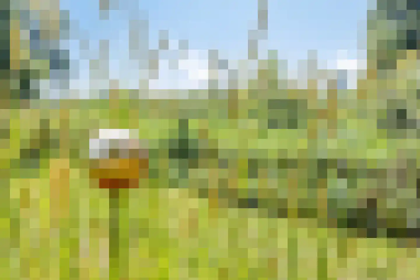 Batsdijk 24 Ruurlo thumbnail 89