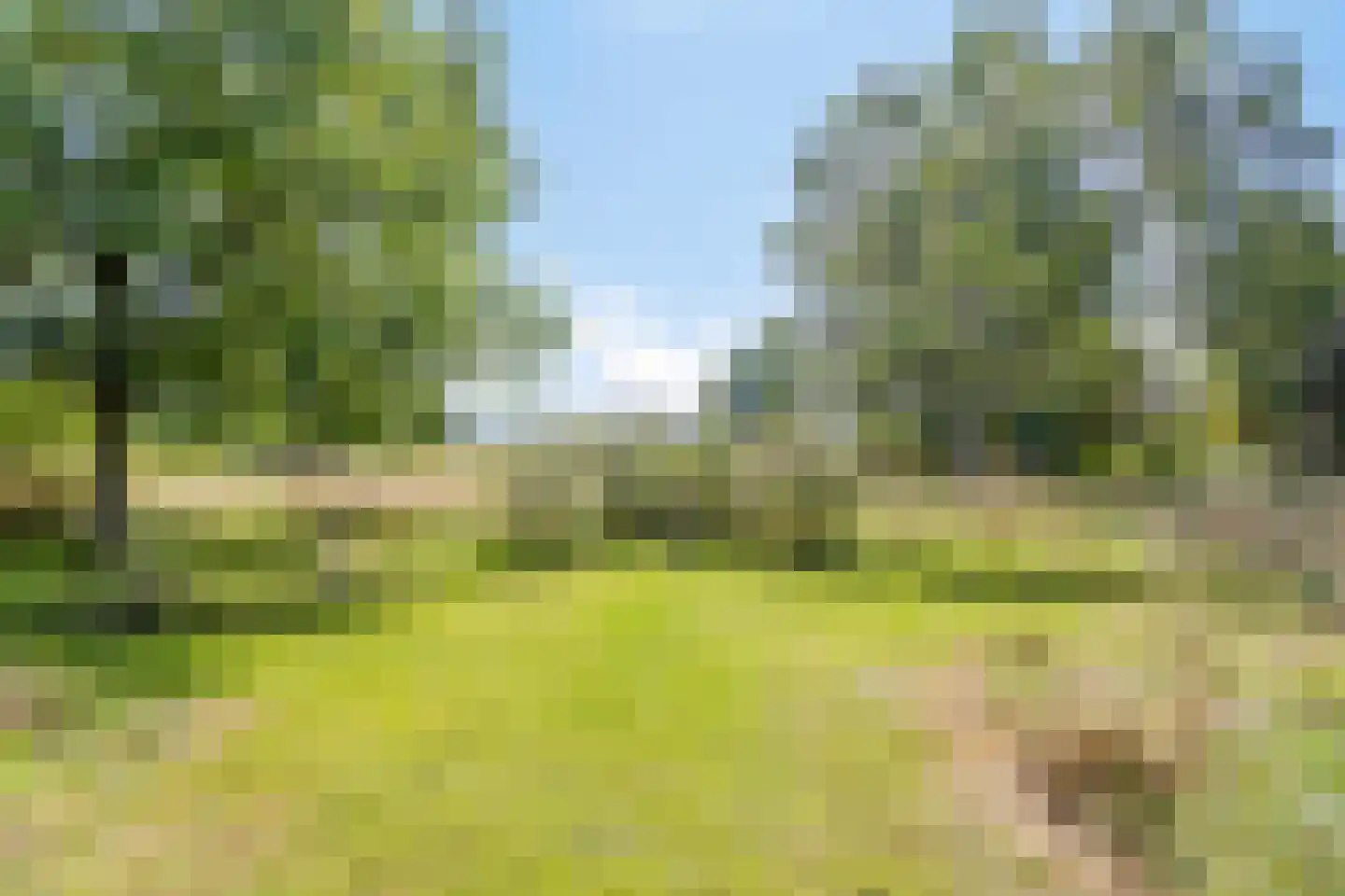 Batsdijk 24 Ruurlo thumbnail 91