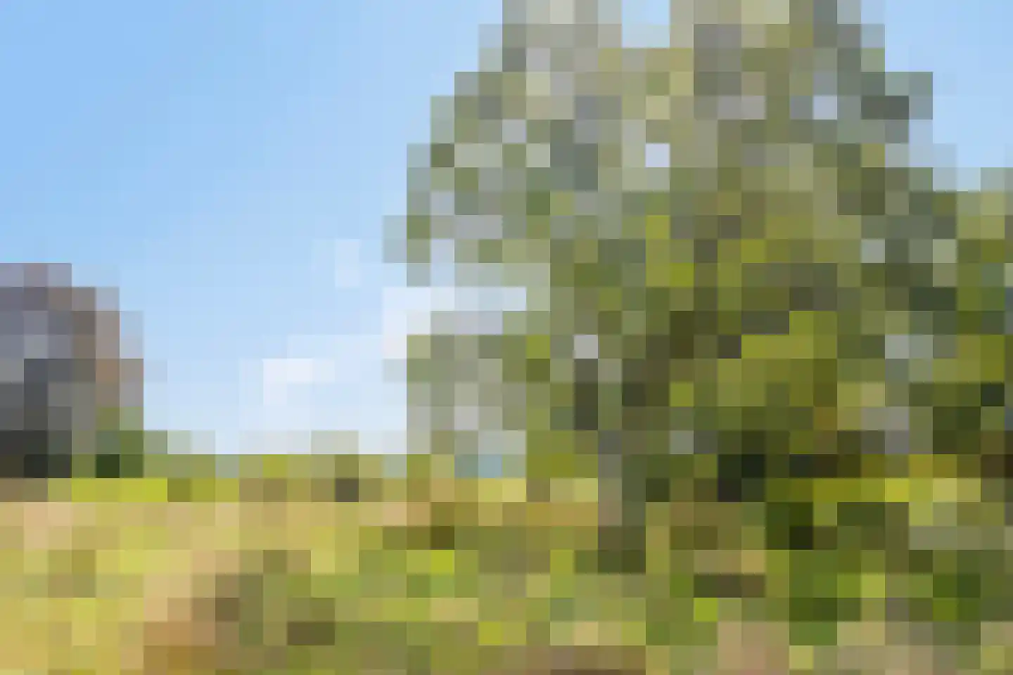 Batsdijk 24 Ruurlo thumbnail 93