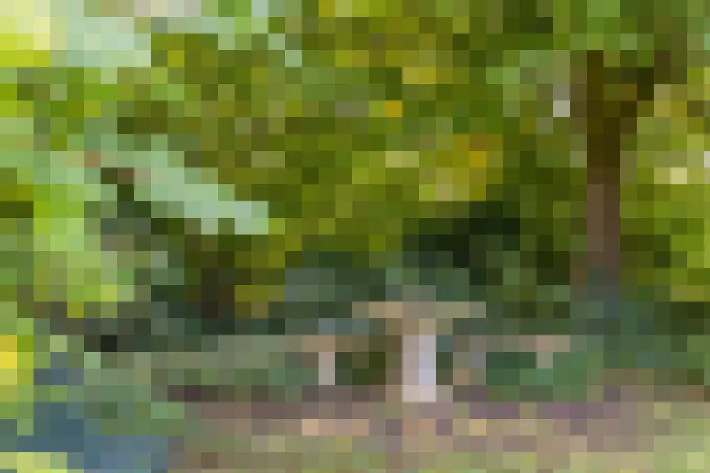 Batsdijk 24 Ruurlo thumbnail 95