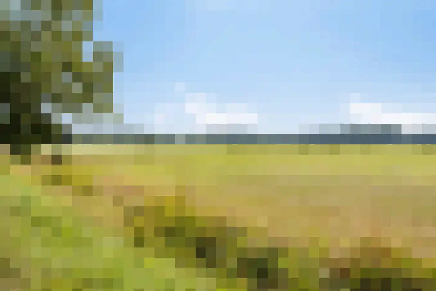 Batsdijk 24 Ruurlo thumbnail 98
