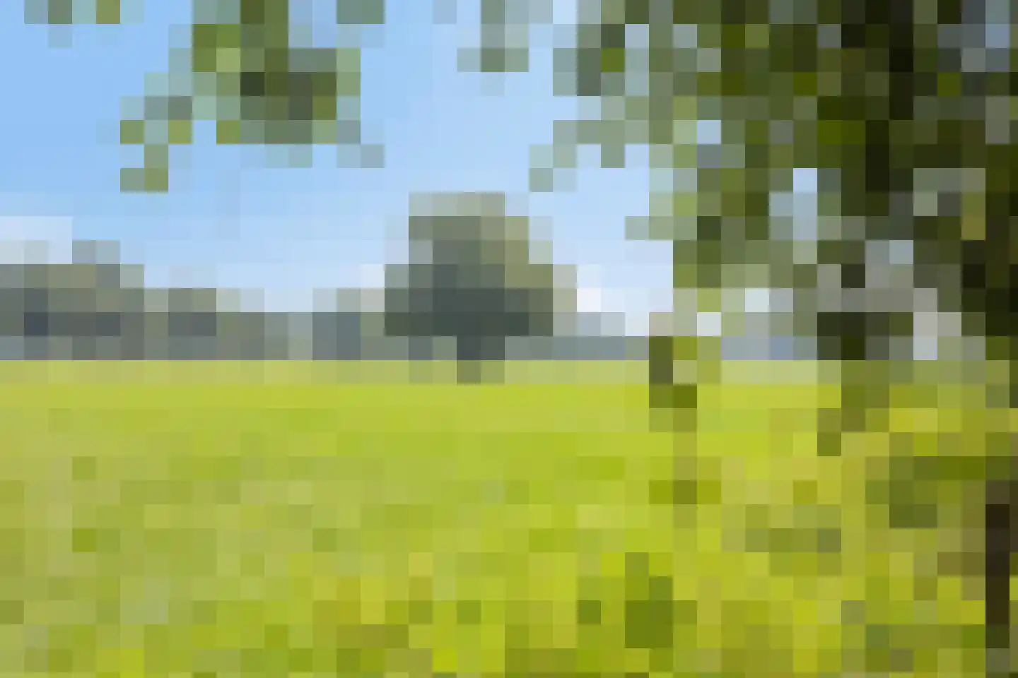 Batsdijk 24 Ruurlo thumbnail 99