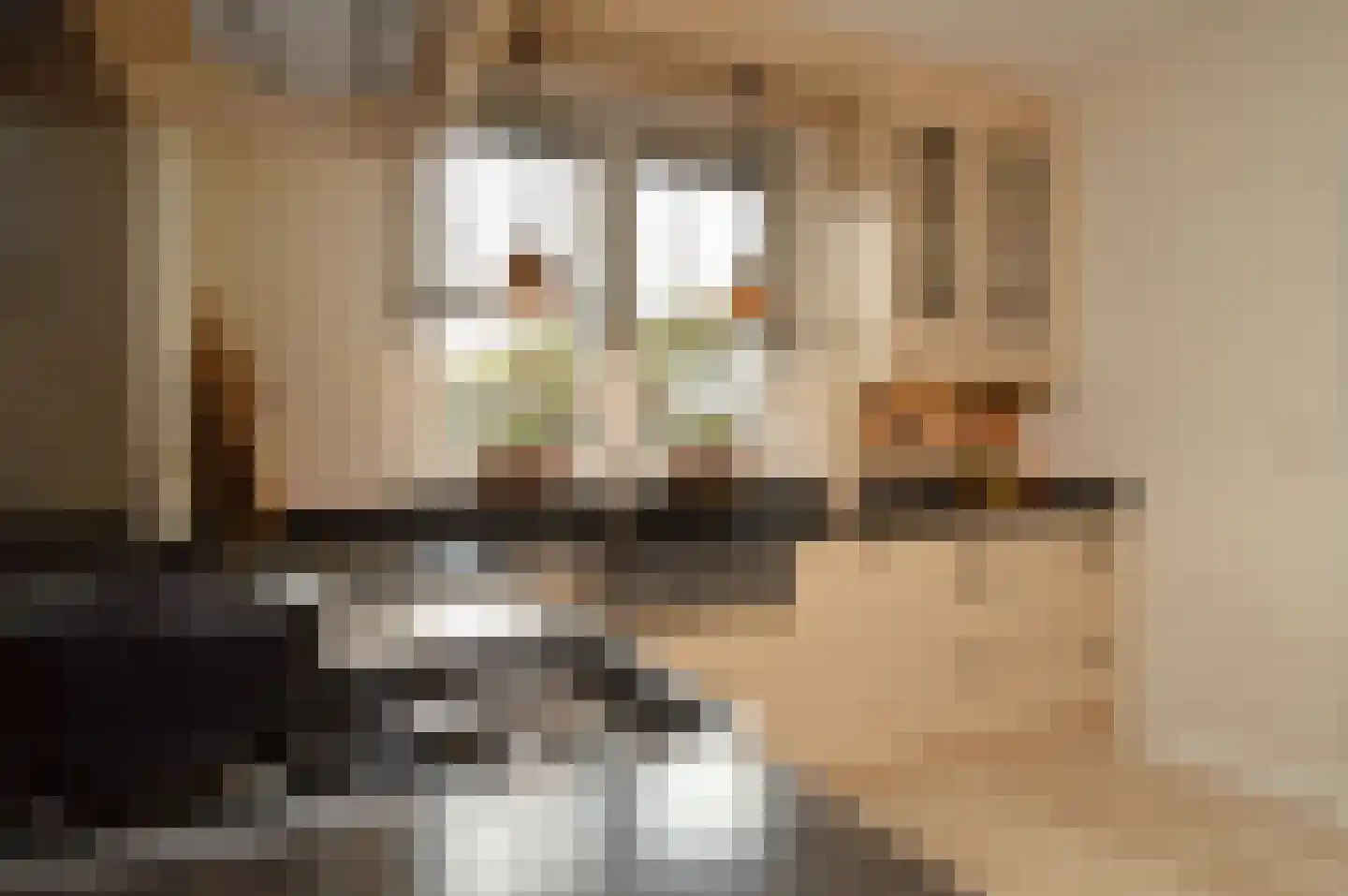 Batspade 27 Deurne thumbnail 10