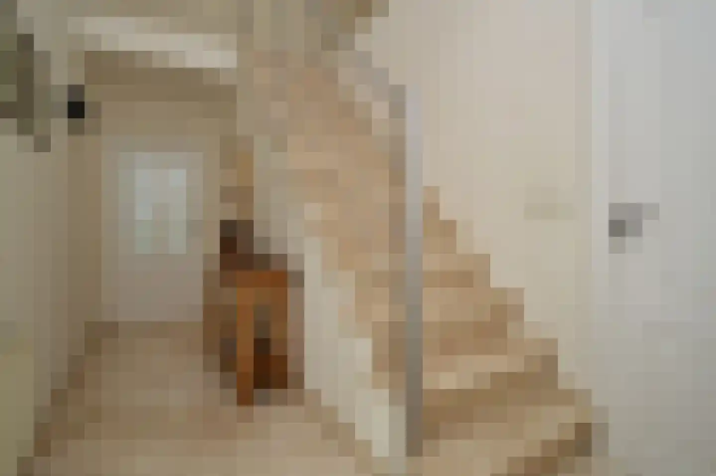 Batspade 27 Deurne thumbnail 16