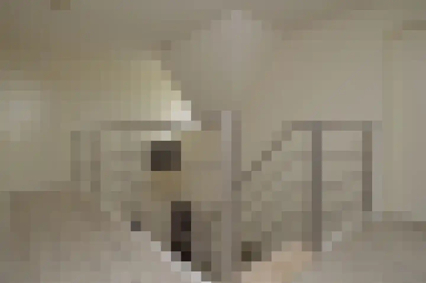 Batspade 27 Deurne thumbnail 17