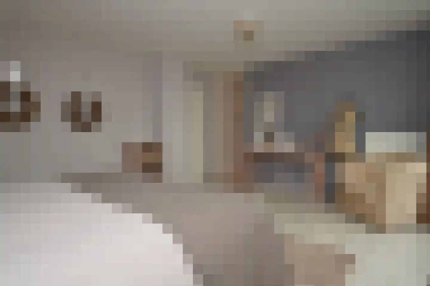 Batspade 27 Deurne thumbnail 20