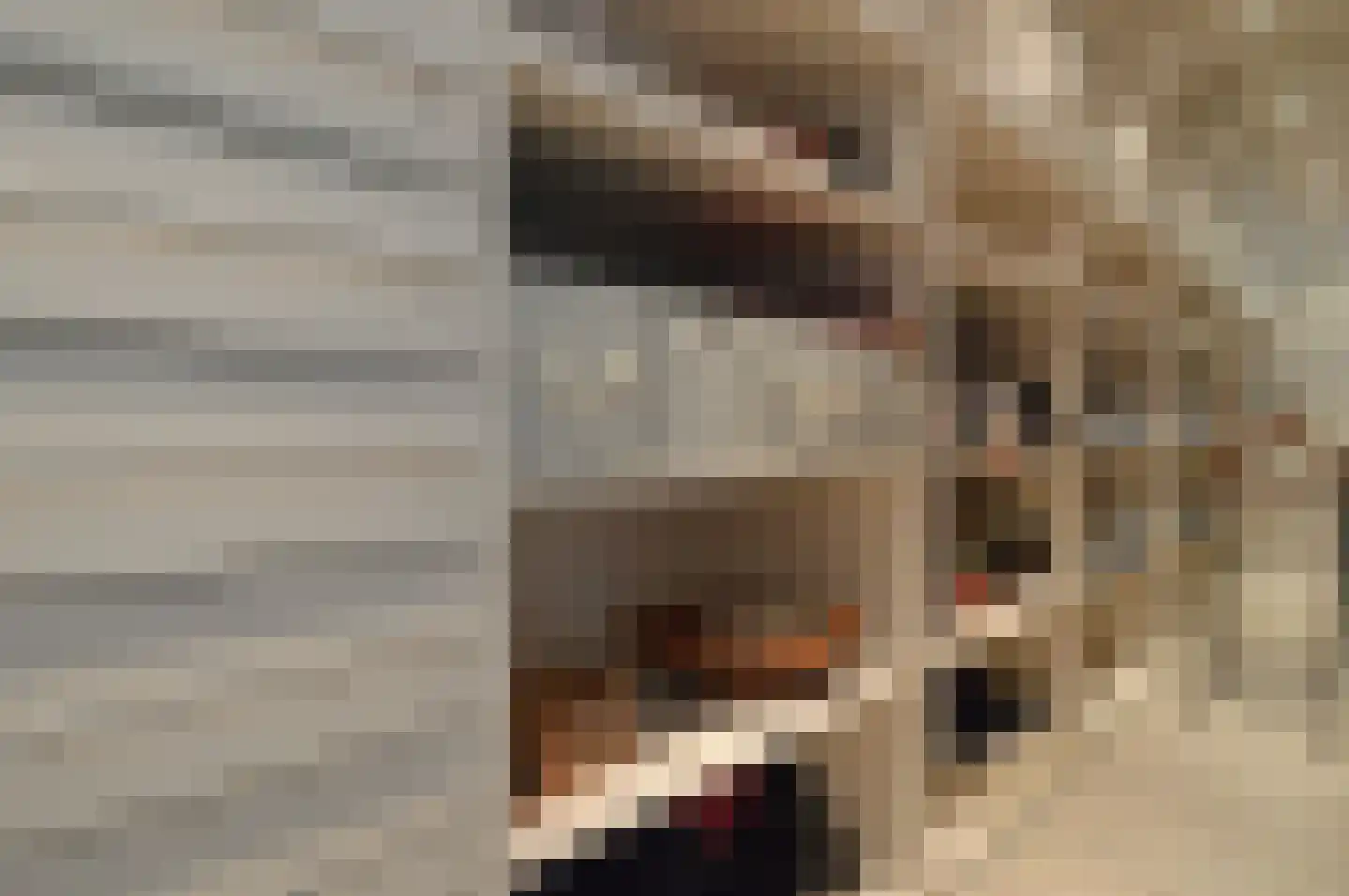 Batspade 27 Deurne thumbnail 21