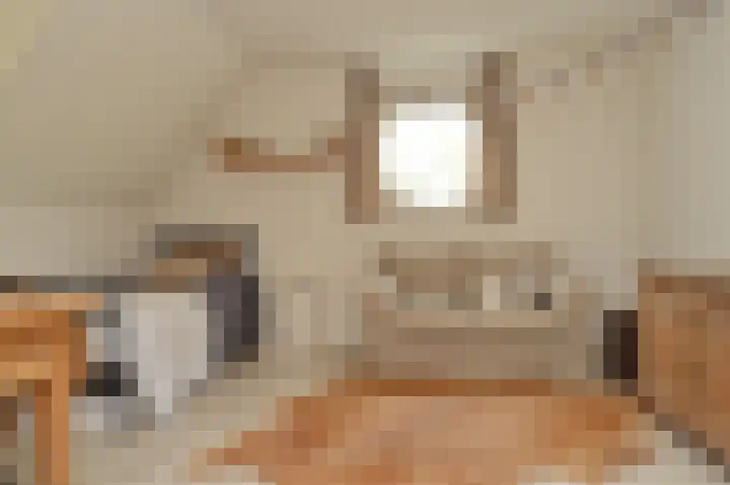 Batspade 27 Deurne thumbnail 23