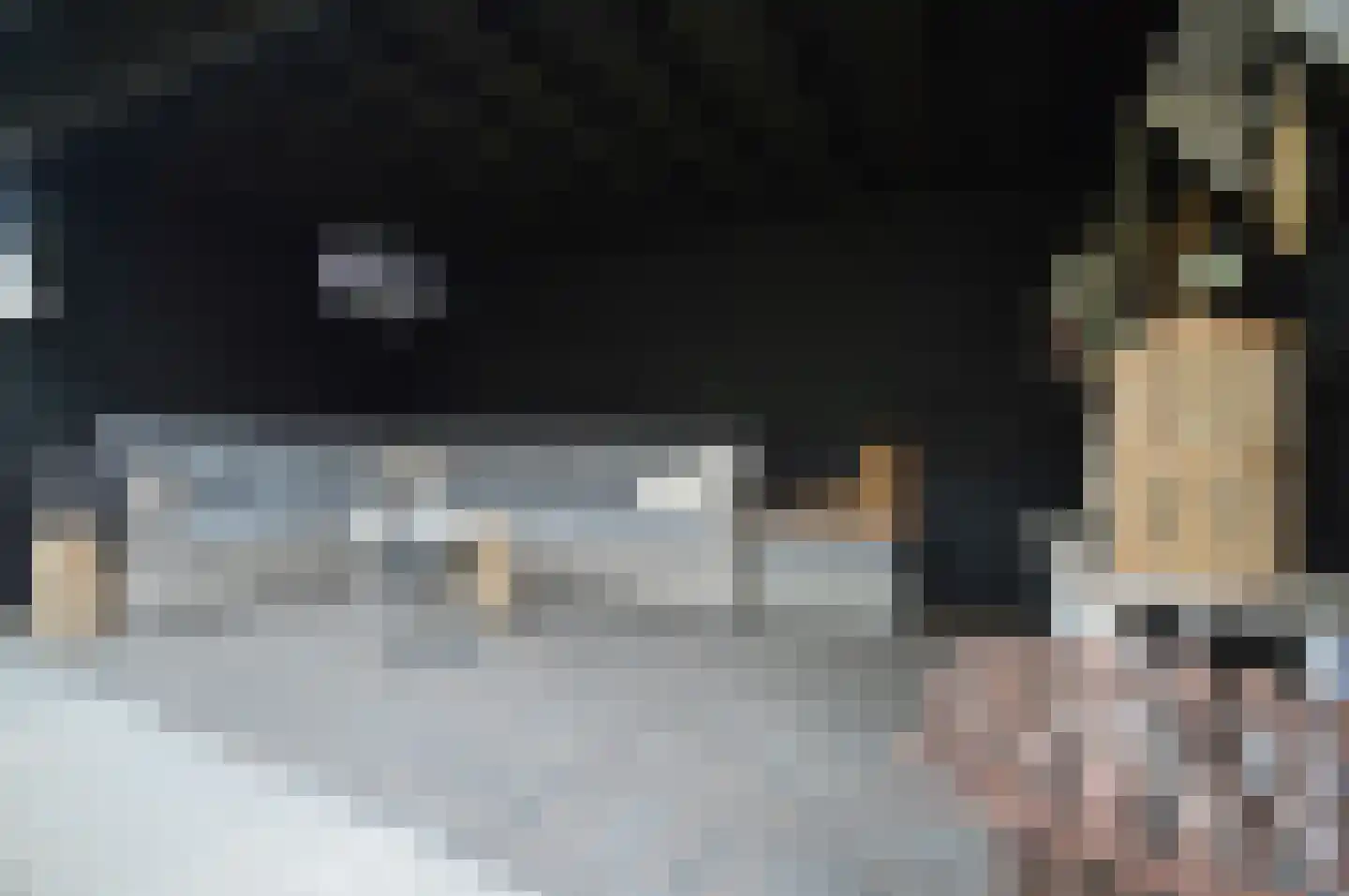 Batspade 27 Deurne thumbnail 36
