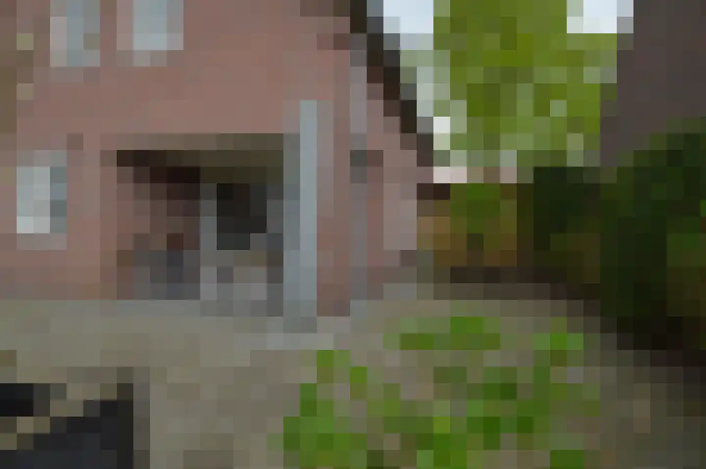 Batspade 27 Deurne thumbnail 38