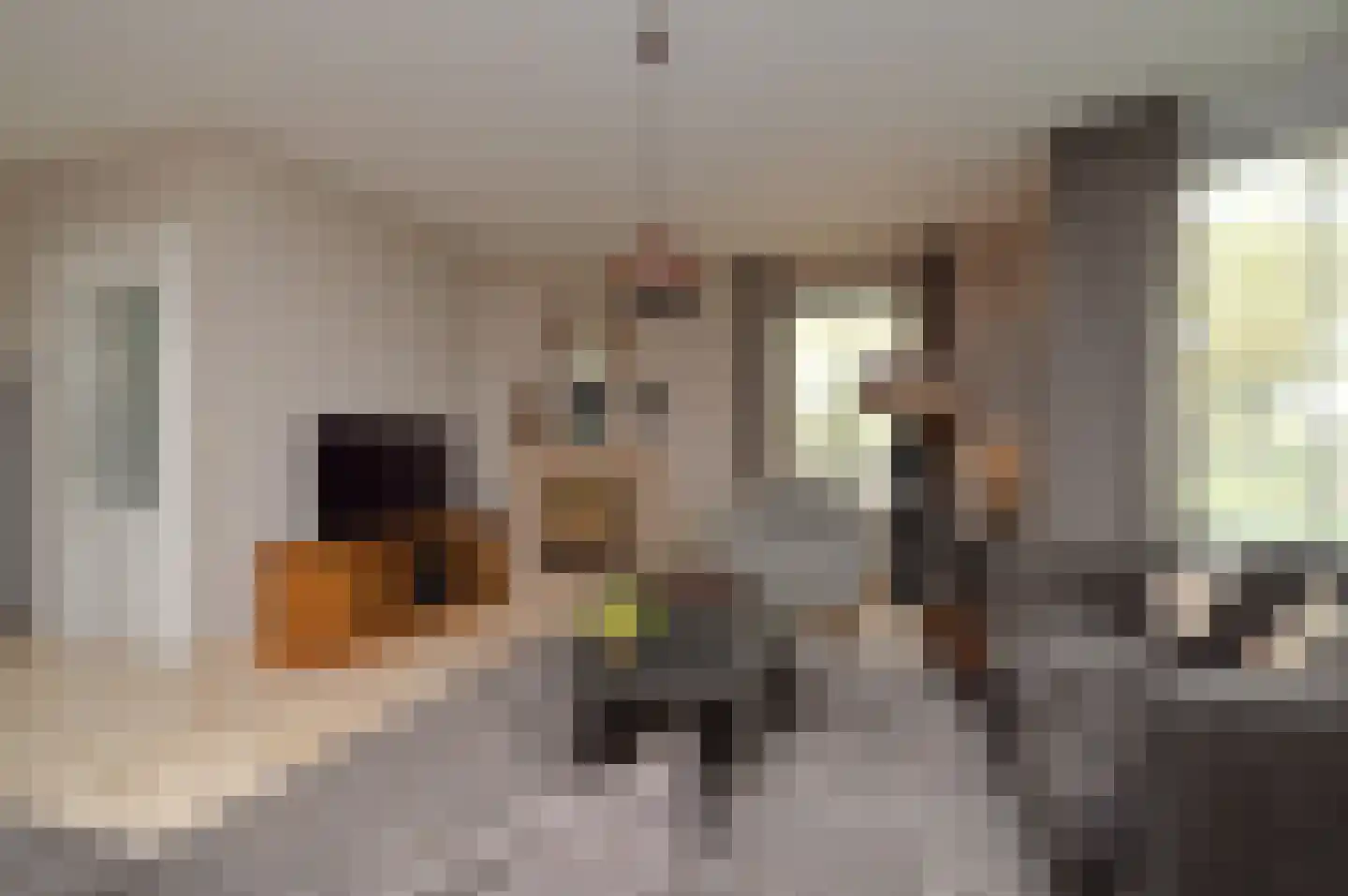 Batspade 27 Deurne thumbnail 4