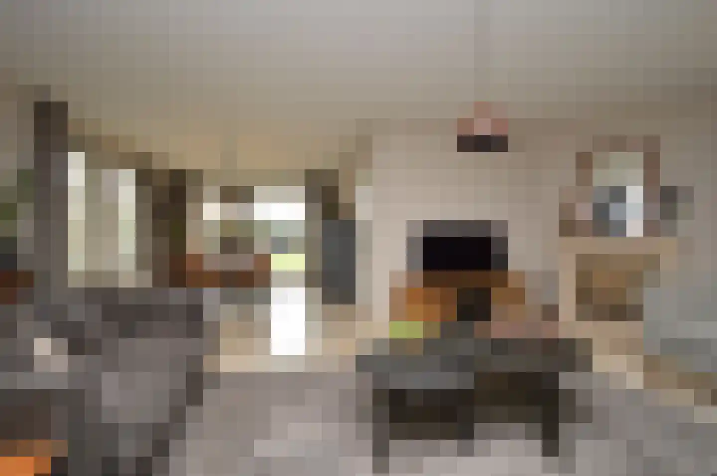 Batspade 27 Deurne thumbnail 6
